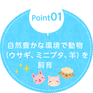 自然豊かな環境で動物（ウサギ、ミニブタ、羊）を飼育